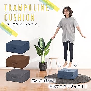 Amazon.co.jp: 武田コーポレーション 【クッション